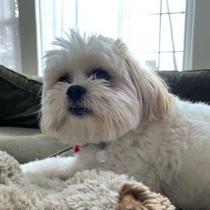 Meet your Posher, Kennedy